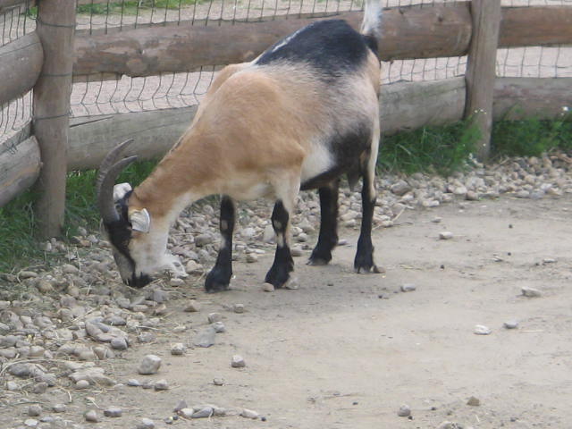 20.2.2009 431