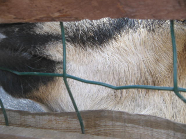 20.2.2009 432